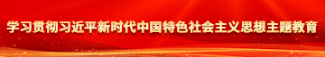 西欧黄色网站美女日B学习贯彻习近平新时代中国特色社会主义思想主题教育